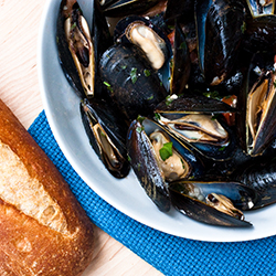 Mussels