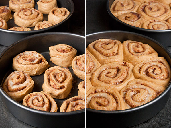 Anadama Cinnamon Rolls - The Creekside Cook