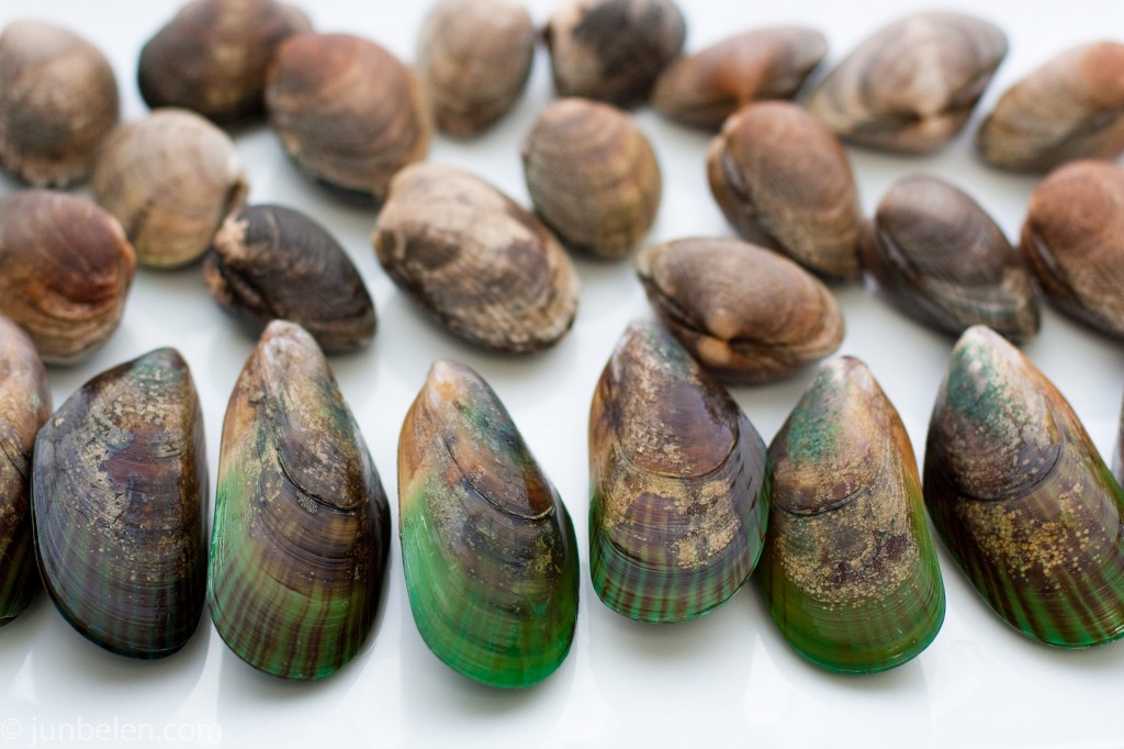 Green Lipped Mussels and Manila Clams