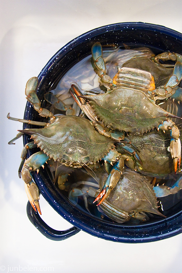 How to Catch and Cook Blue Crabs: Blue Crabbing in the Outer Banks