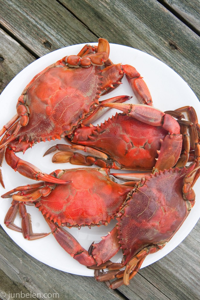 How to Catch and Cook Blue Crabs: Blue Crabbing in the Outer Banks