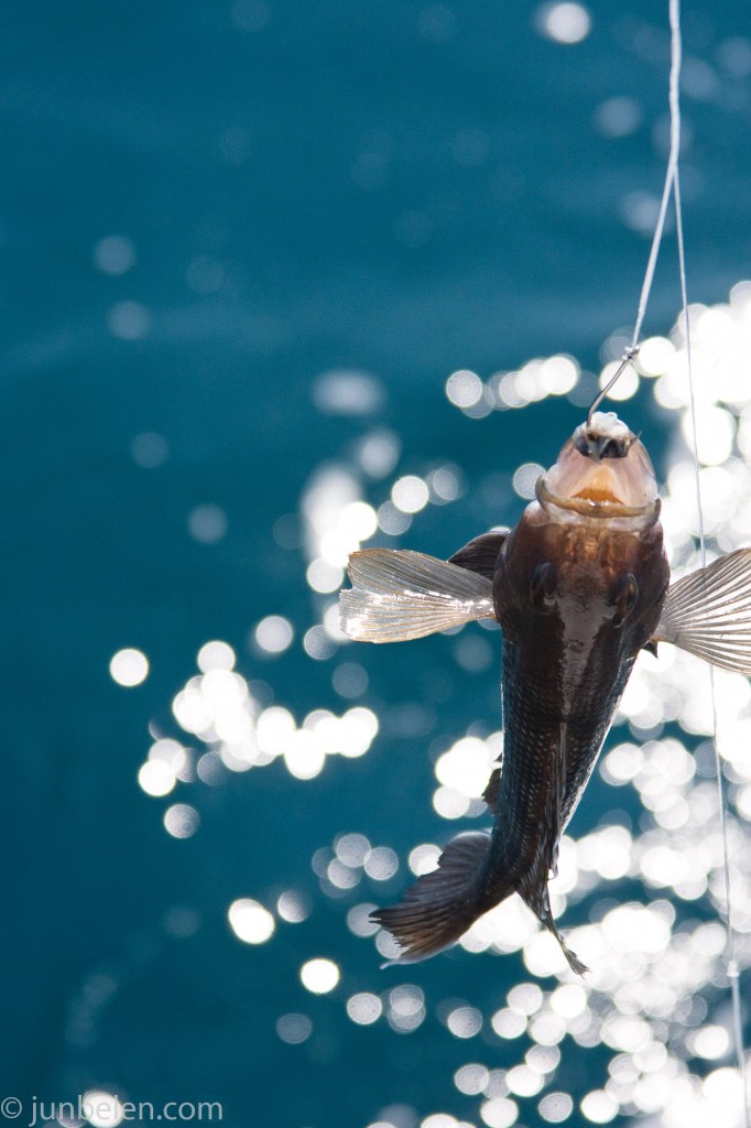 Fishing in the Outer Banks