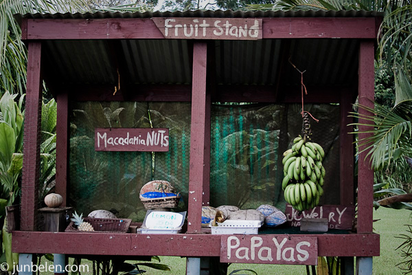 Road to Hana