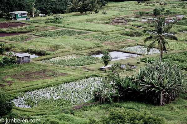 Road to Hana