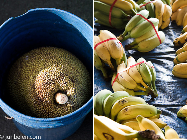 Hilo Farmers Market