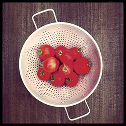 Ripe-Tomatoes