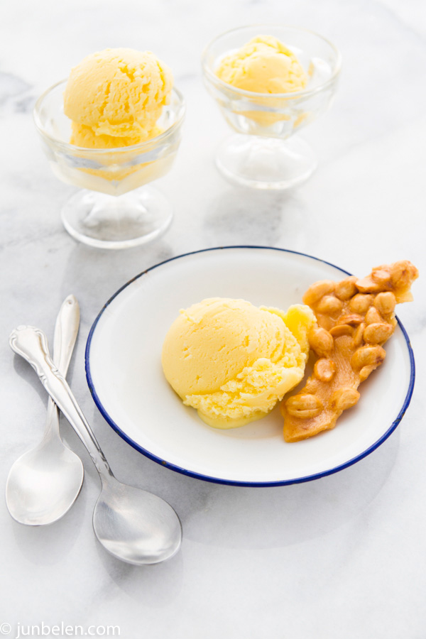 Queso Cheddar Cheese Ice Cream