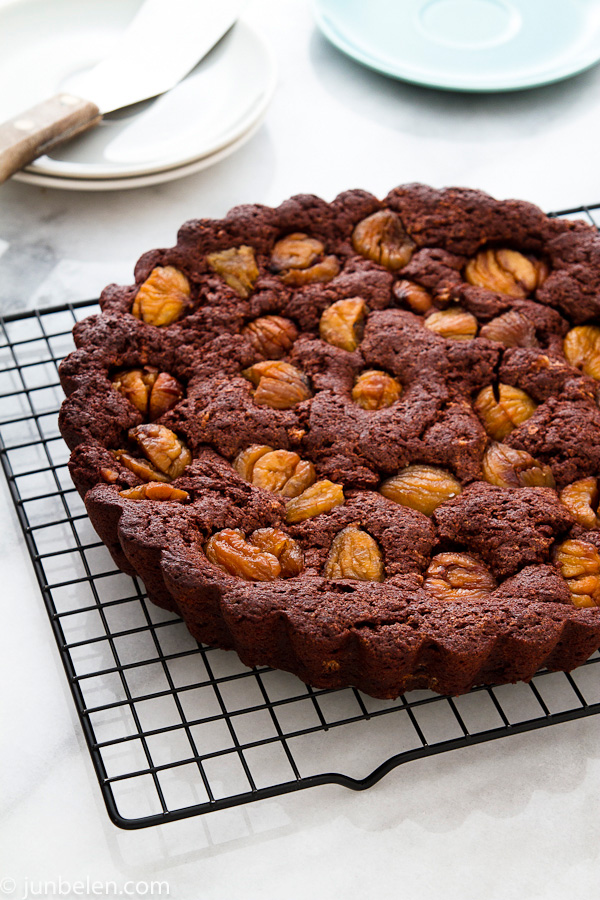 Chocolate Chestnut Cake