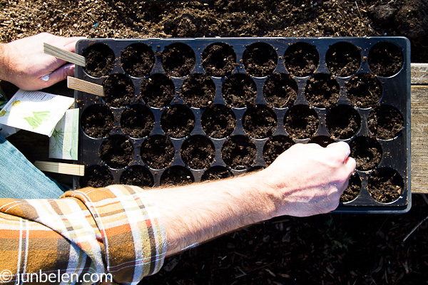 Edible Garden