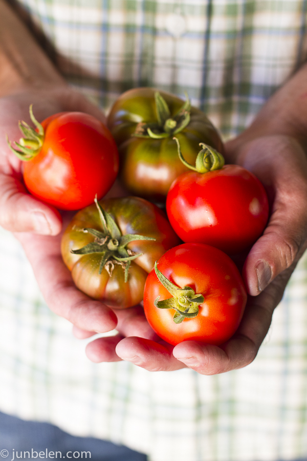 New Girl and Black Krim Tomatoes