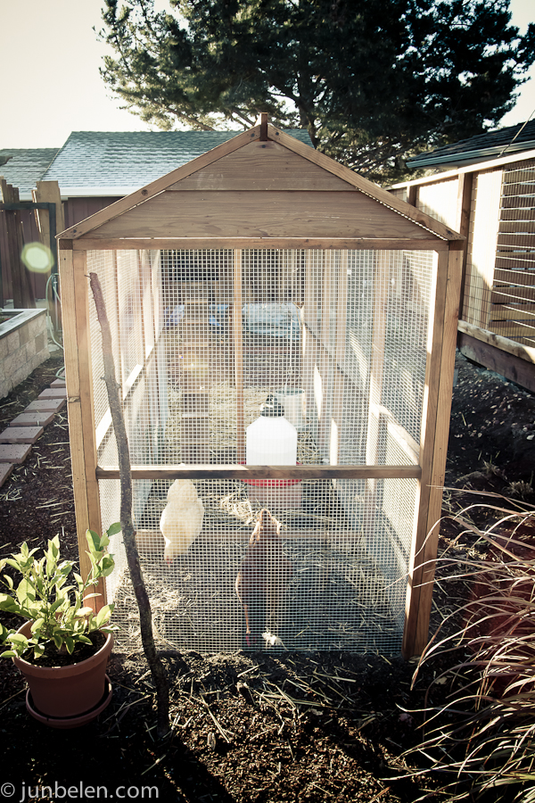 Hen House